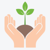 icon_policy